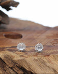 18K White Gold Ice Jadeite Jade Stud Earrings
