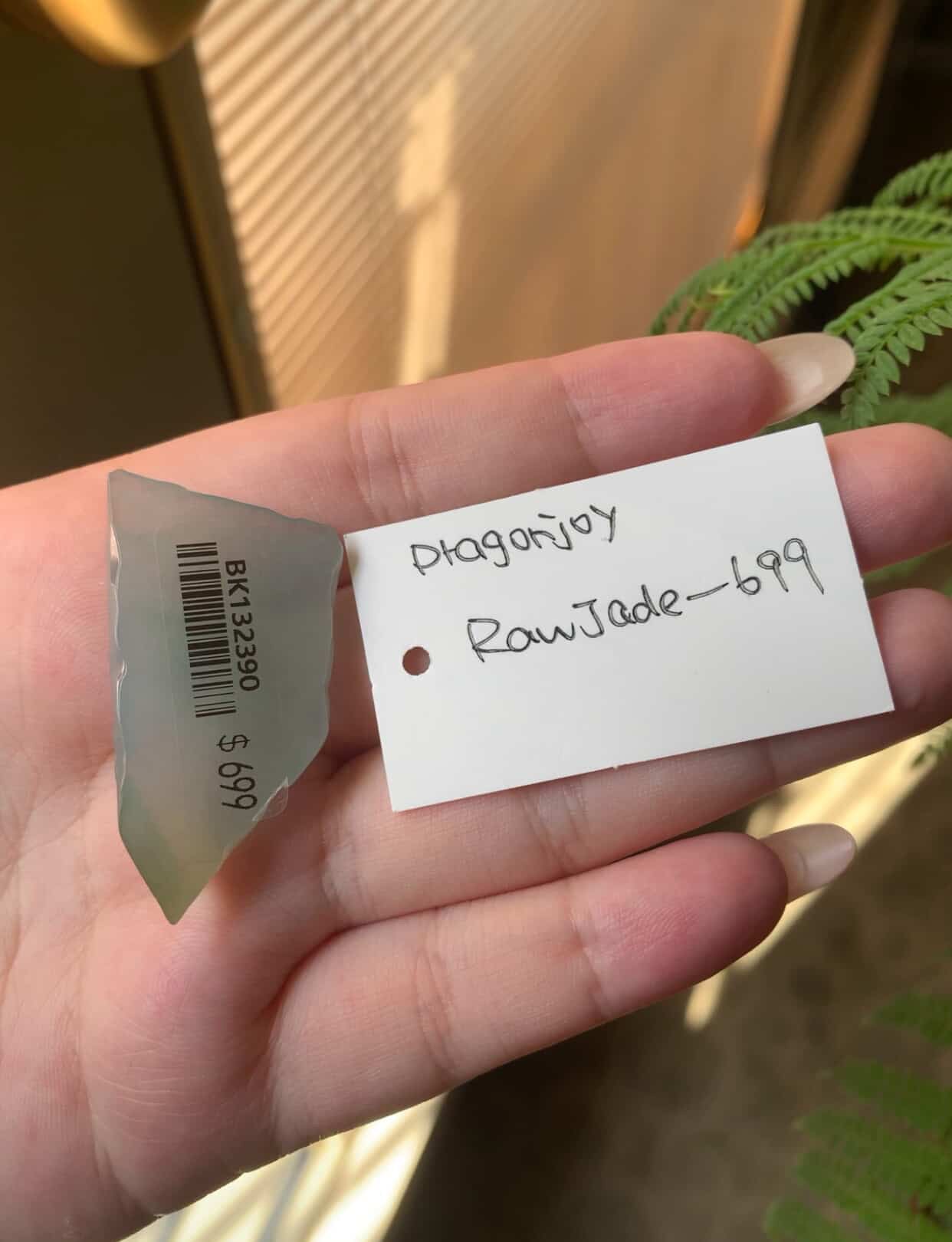 "Live" Natural Jadeite Jade Raw Stone (08/27/26)