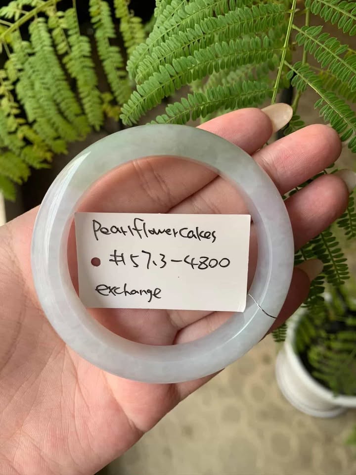 "Live" Natural Strawberry Matcha Jadeite Jade Bangle (03/09/26)