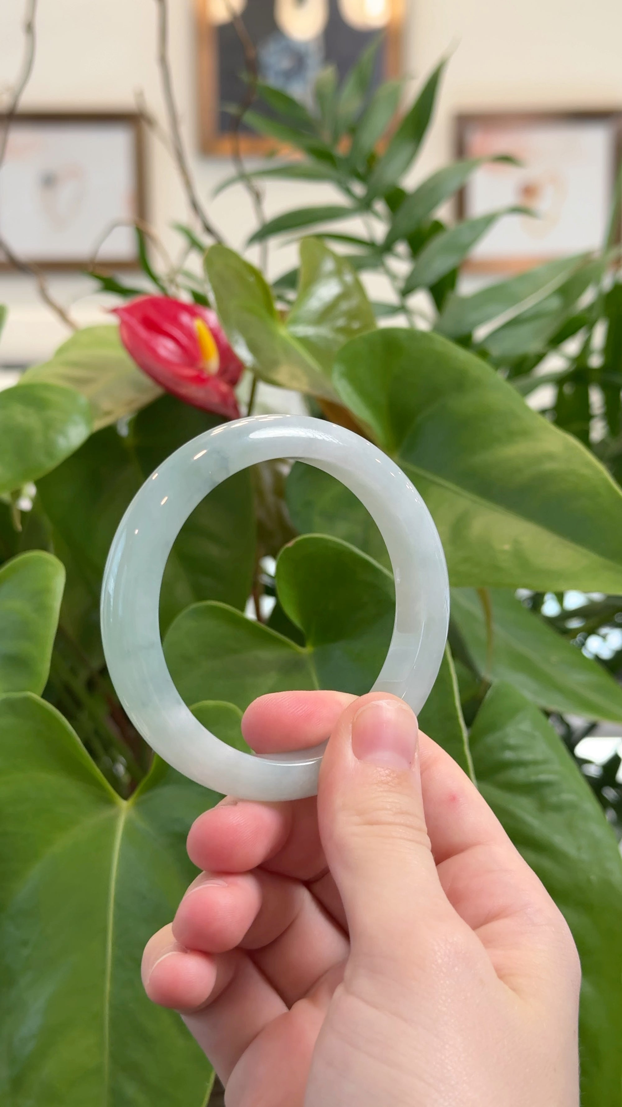 Baikalla Natural Green Jadeite Jade Bangle Bracelet (55.9 mm) 