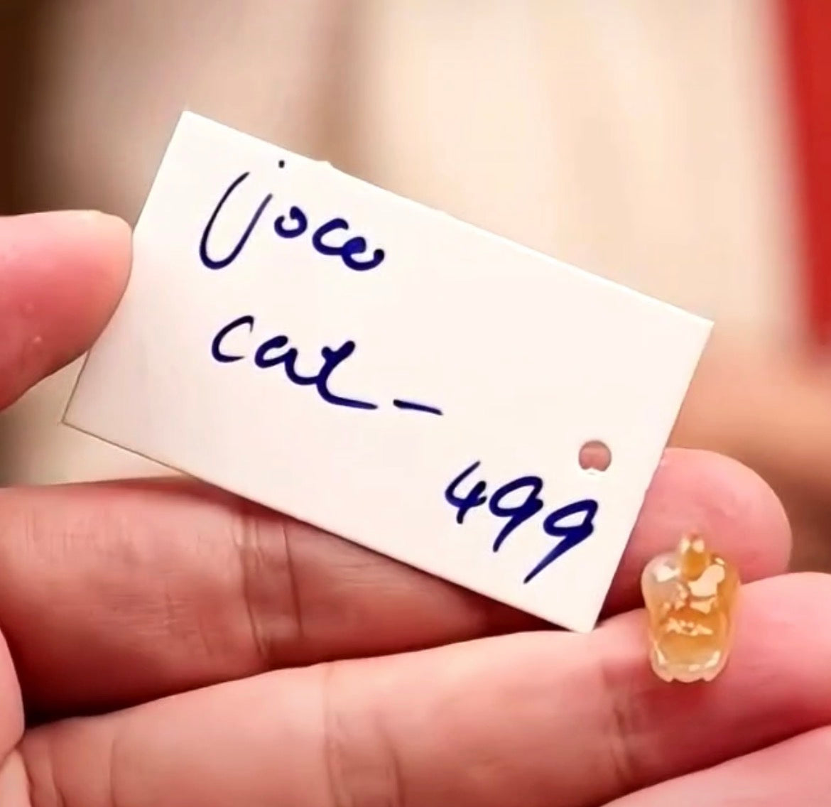 "Live" Icy Natural Light Orange Cat Jadeite Jade Pendant (10/14/26)