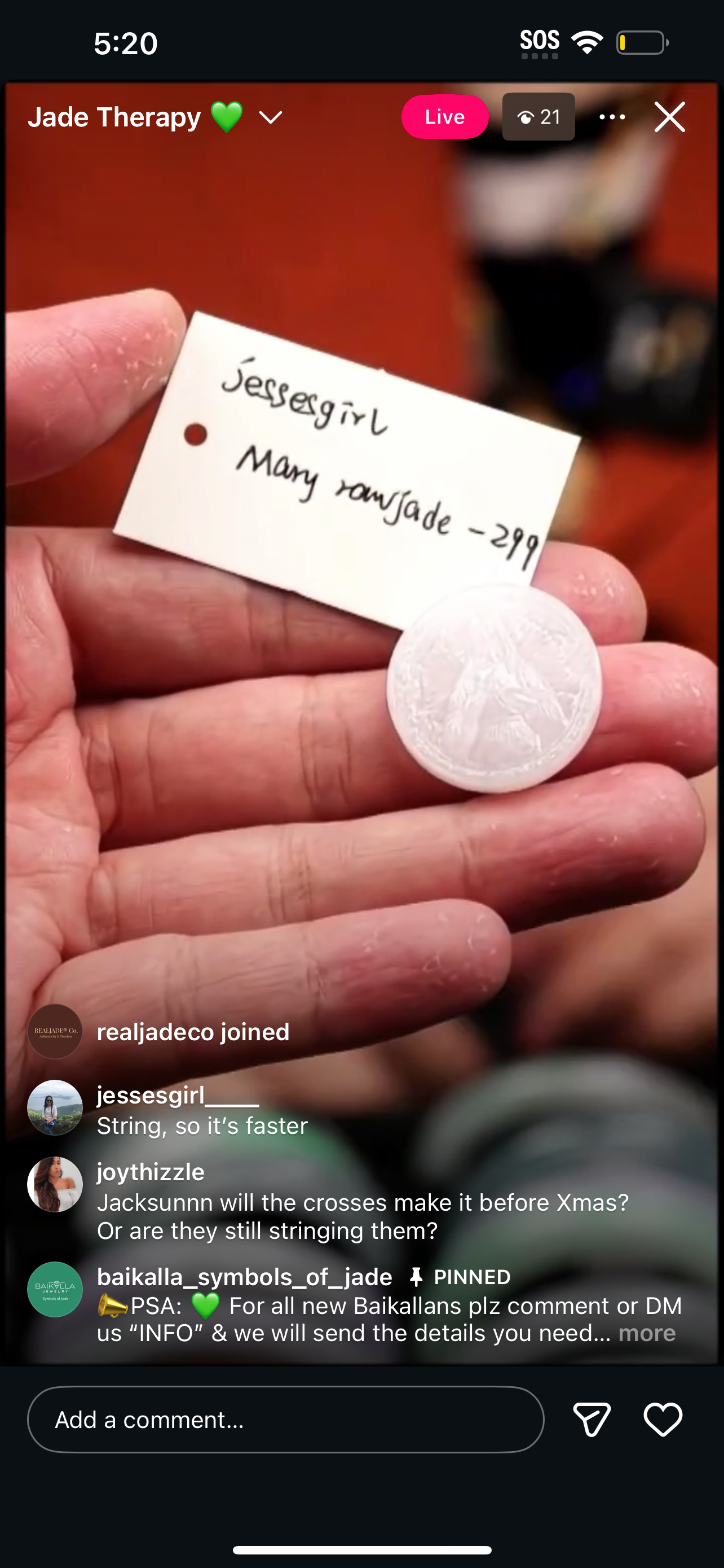 &quot;Live&quot; Mary Natural Jadeite Jade Raw Jade Carving (12/10/2025)