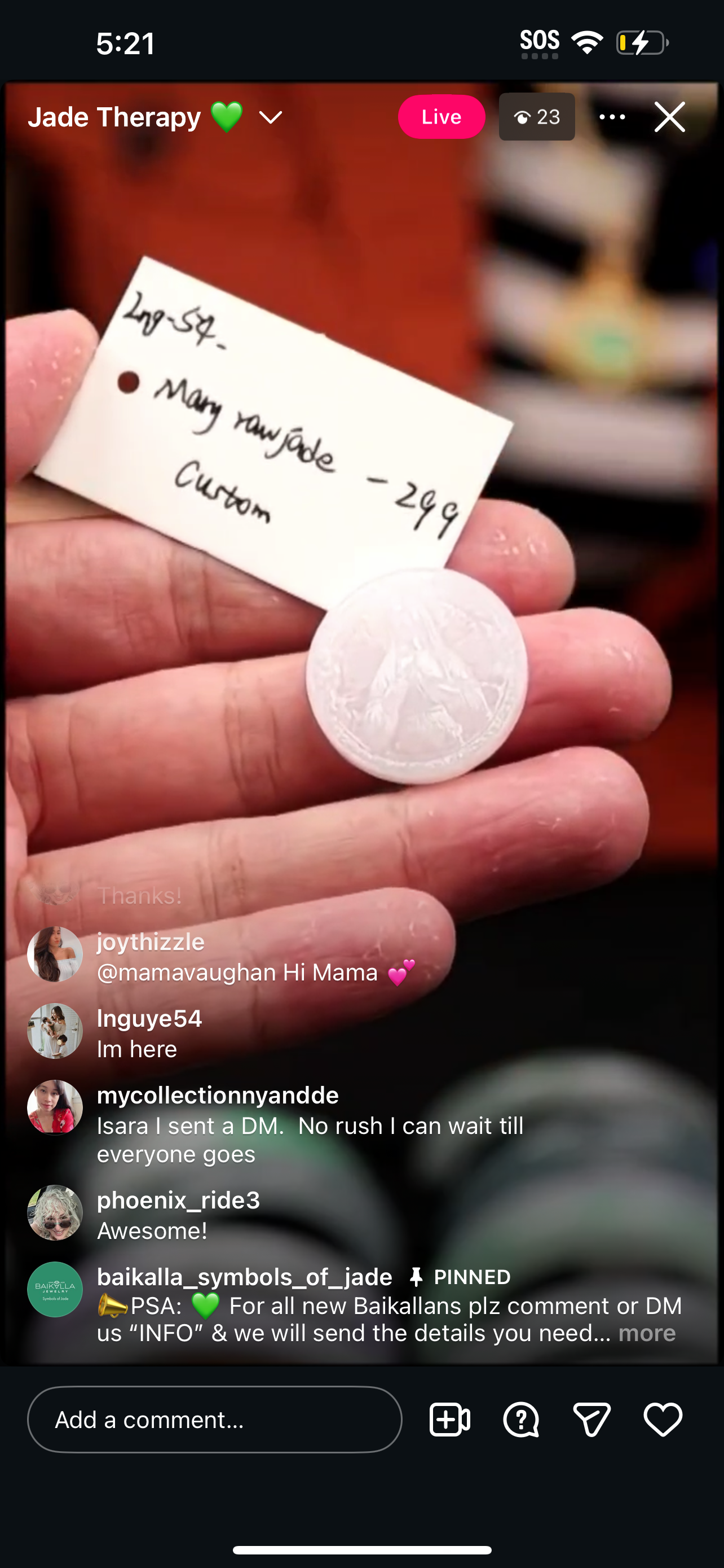 &quot;Live&quot; Mary Natural Jadeite Jade Raw Jade Carving (12/10/2025)