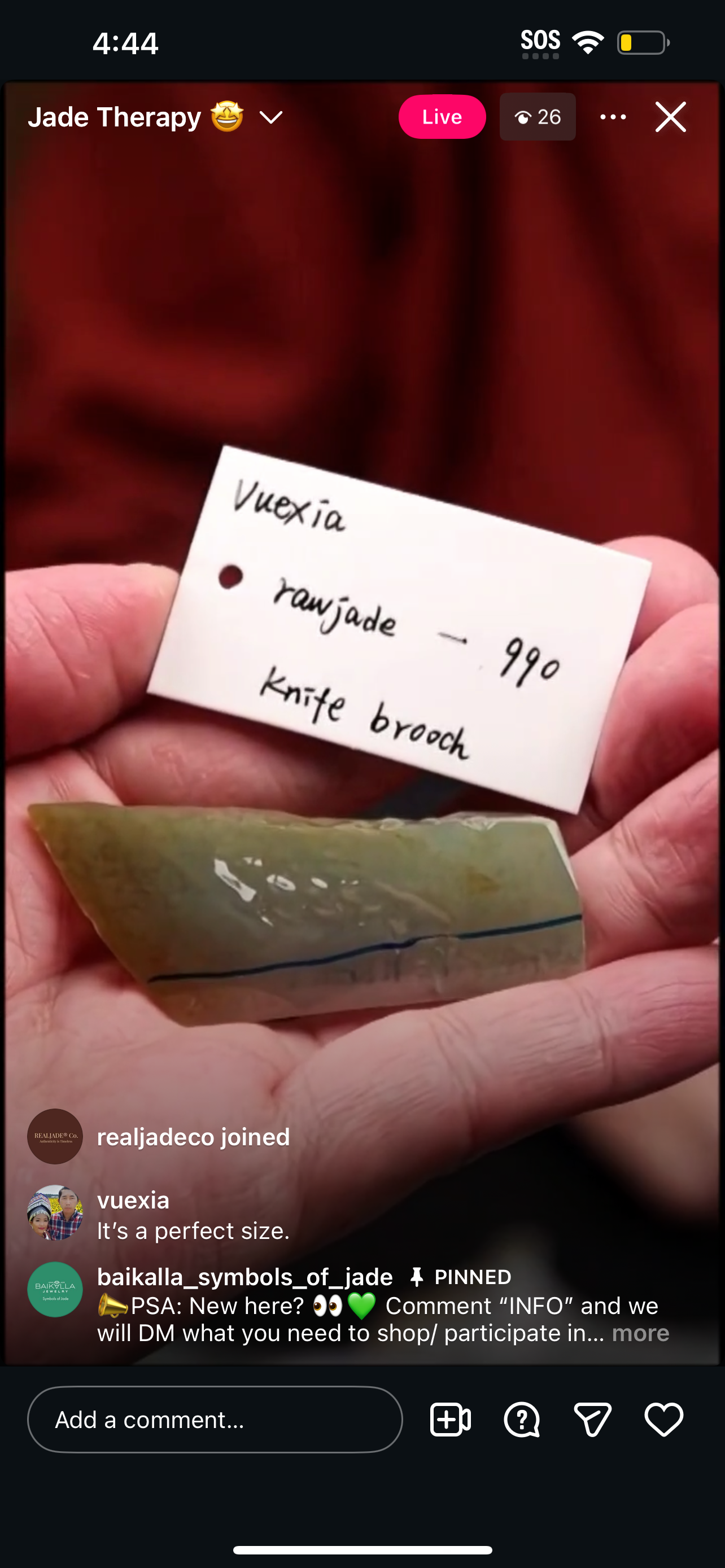 Live Natural Raw Jadeite Jade (12/31/25)