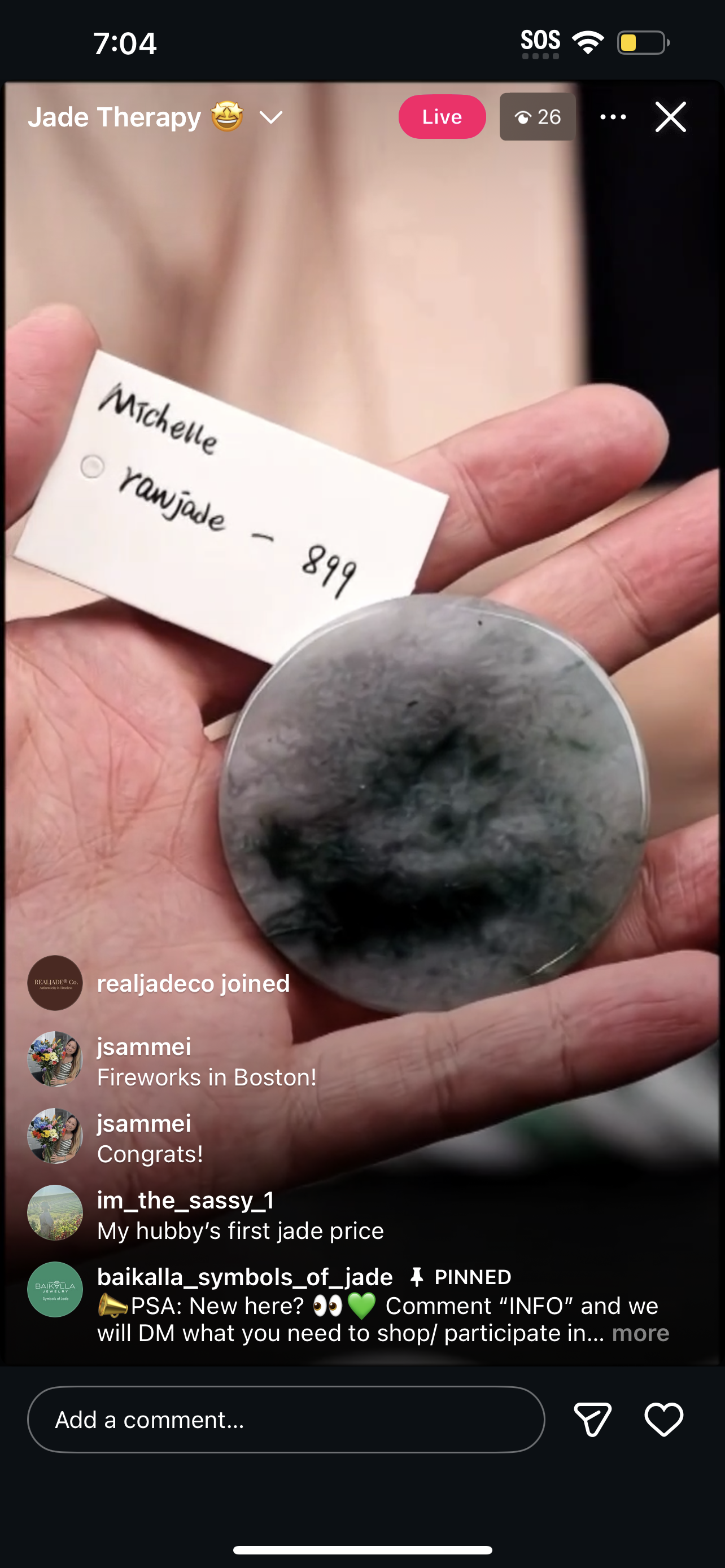 Live Raw Natural Jadeite Jade (12/31/25)