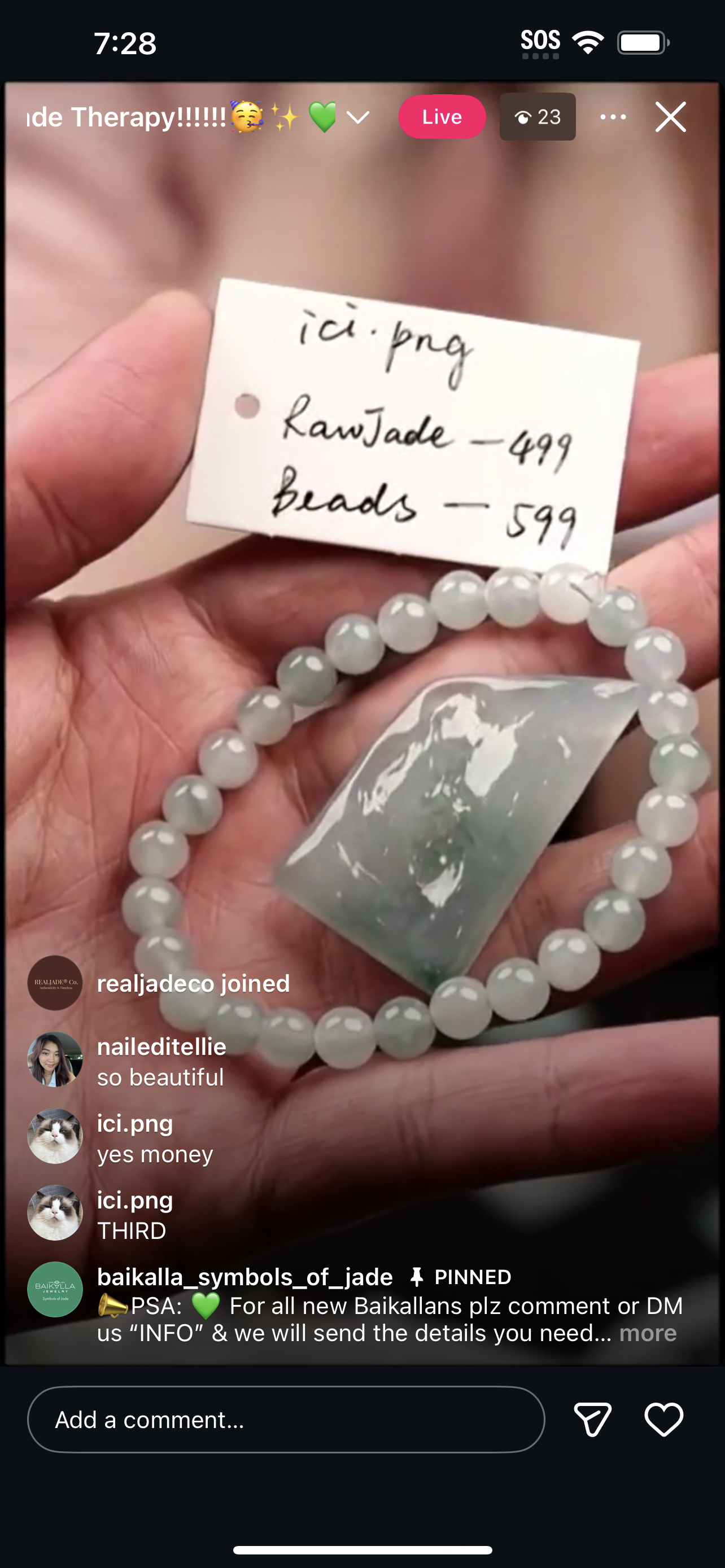 Live Blue Raw Natural Jadeite Jade (1/14/26)