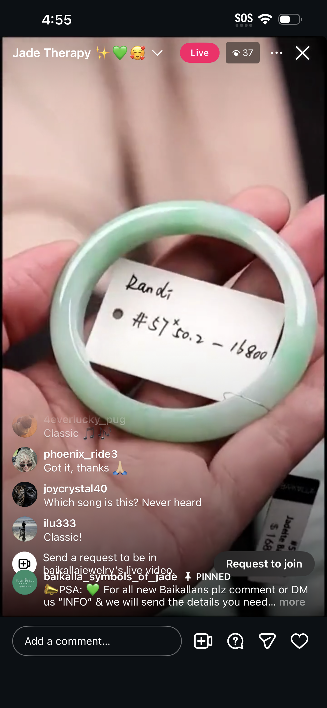 Live BDQ Natural Jadeite Jade Comfort Fit Bangle (1/19/26)