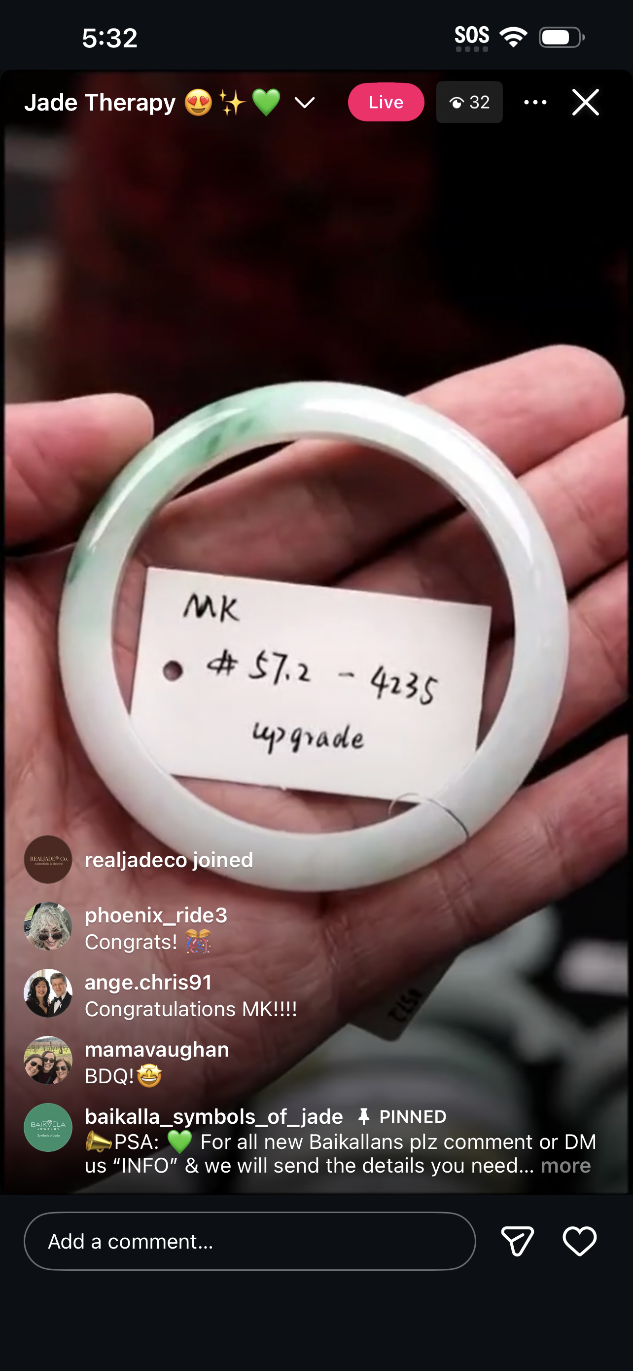 Live Light Green W/ Bright Green Flowers Flower Natural Jadeite Jade Bangle (01/21/26)