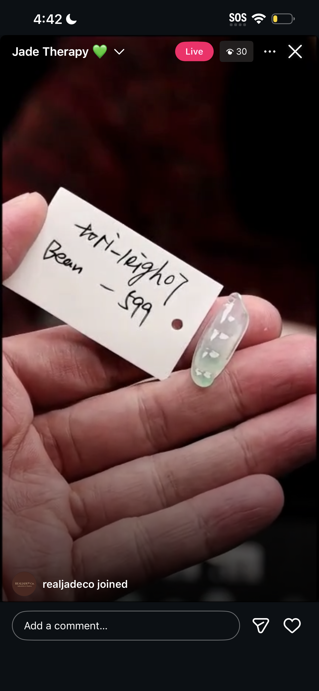 "Live" Light Icy Green Natural Jadeite Jade Bean Pendant (02/07/26)