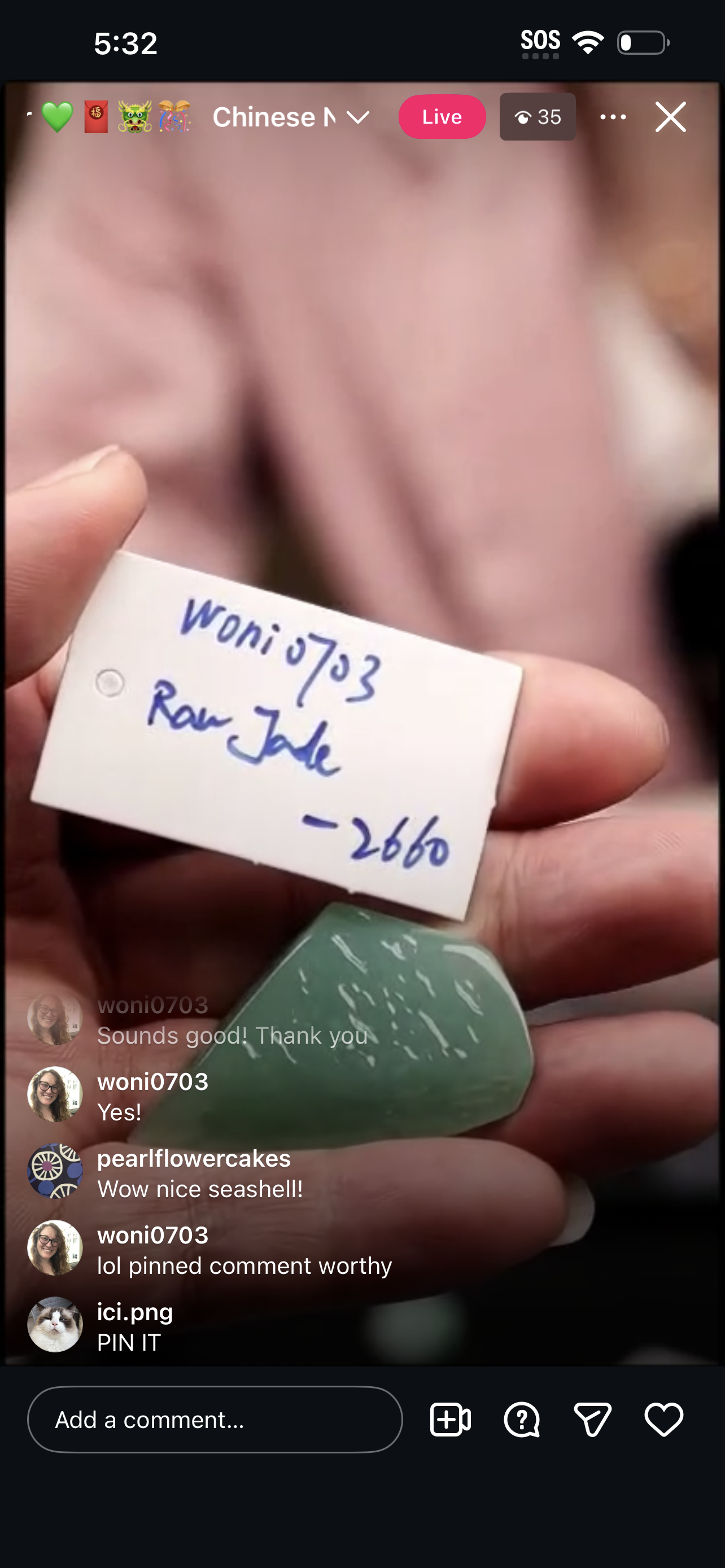 "Live" Natural Deep Green Raw Jadeite Jade (02/16/26)