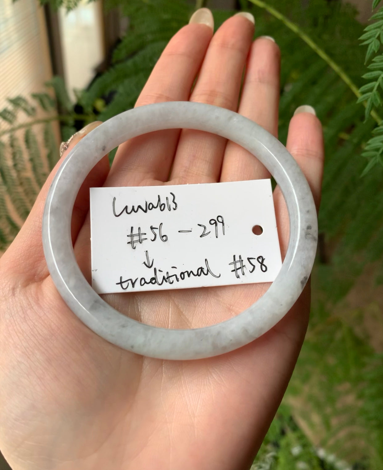 "Live" Natural Light Wuji Jadeite Jade Traditional Bangle (02/09/26)