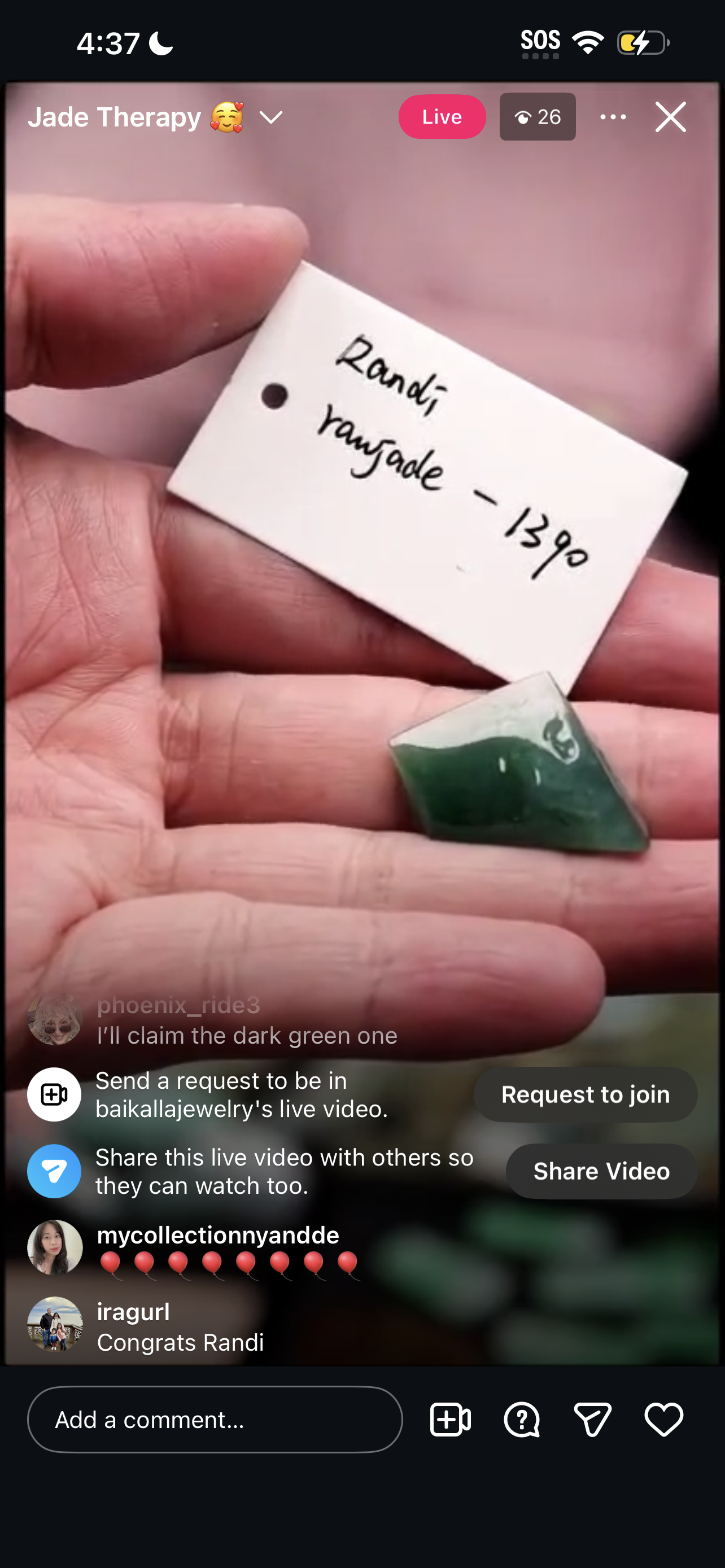 "Live" Natural Green Raw Jadeite Jade (02/25/26)