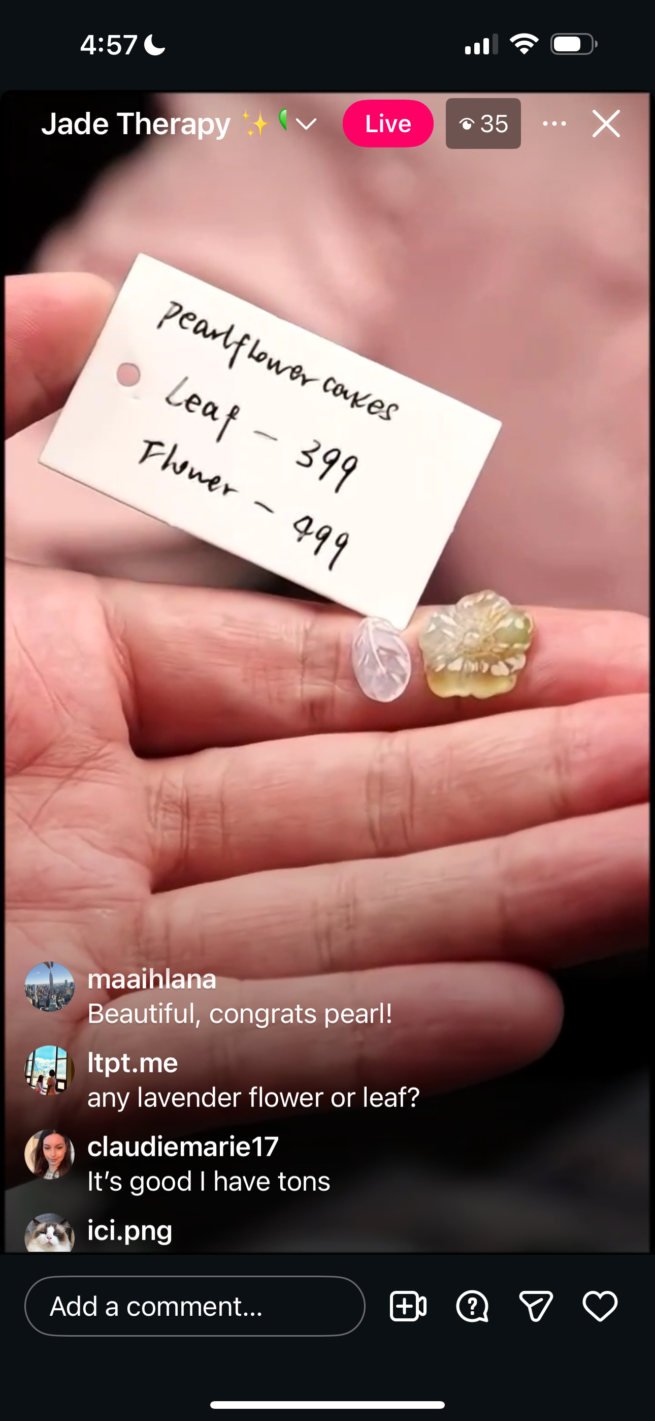 "Live" Natural Icy Jadeite Jade Leaf (03/04/26)