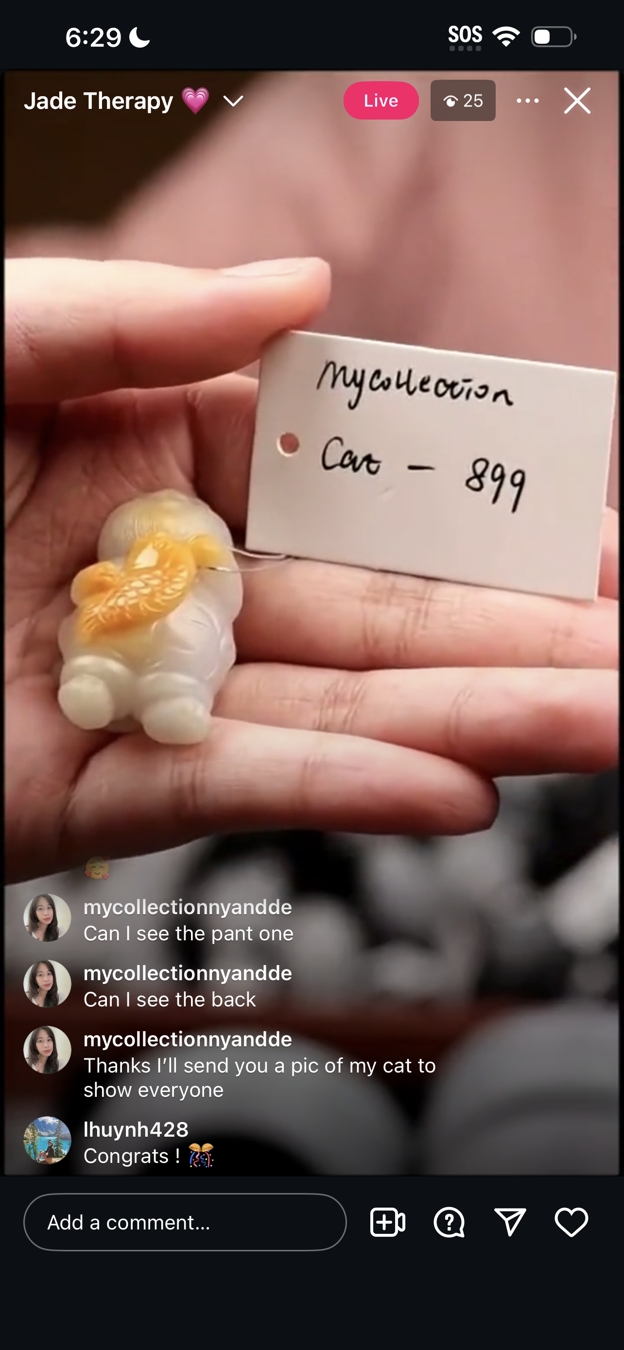 "Live" Natural Moonlight W/ Honey-Yellow Jadeite Jade Kitty Display (03/25/26)