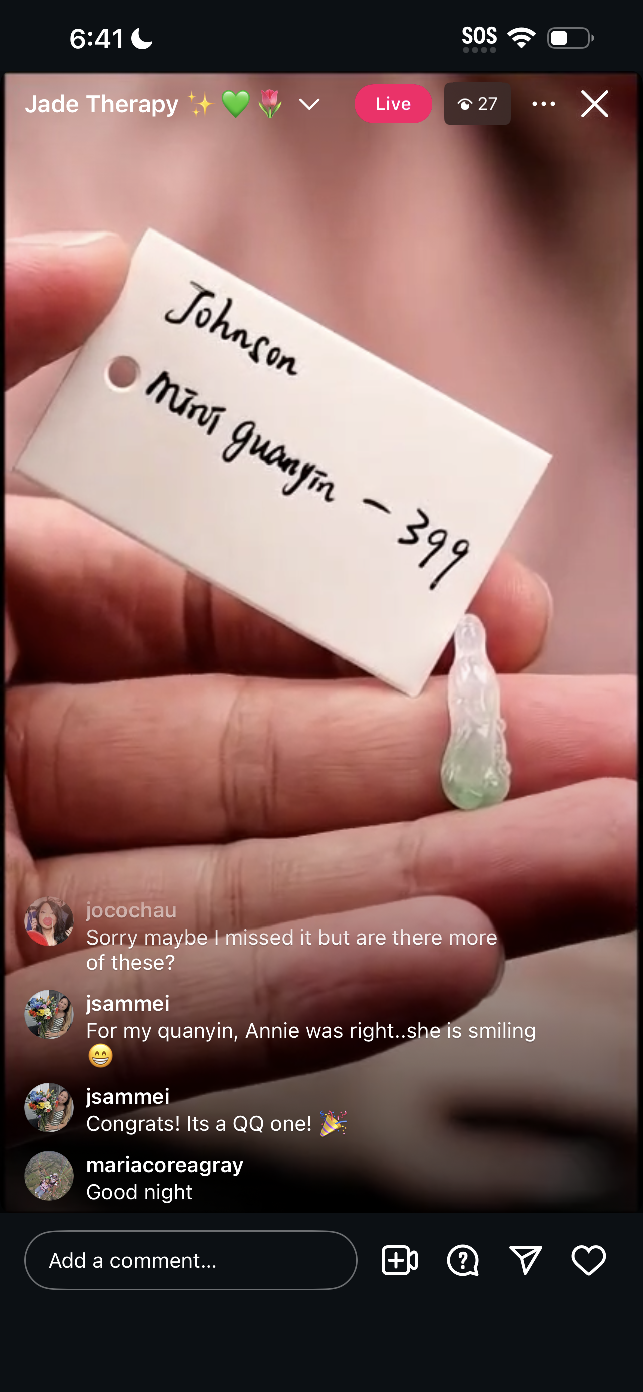 "Live" Natural Icy Moonlight &amp; Apple Green Jadeite Jade Guanyin (05/06/26)