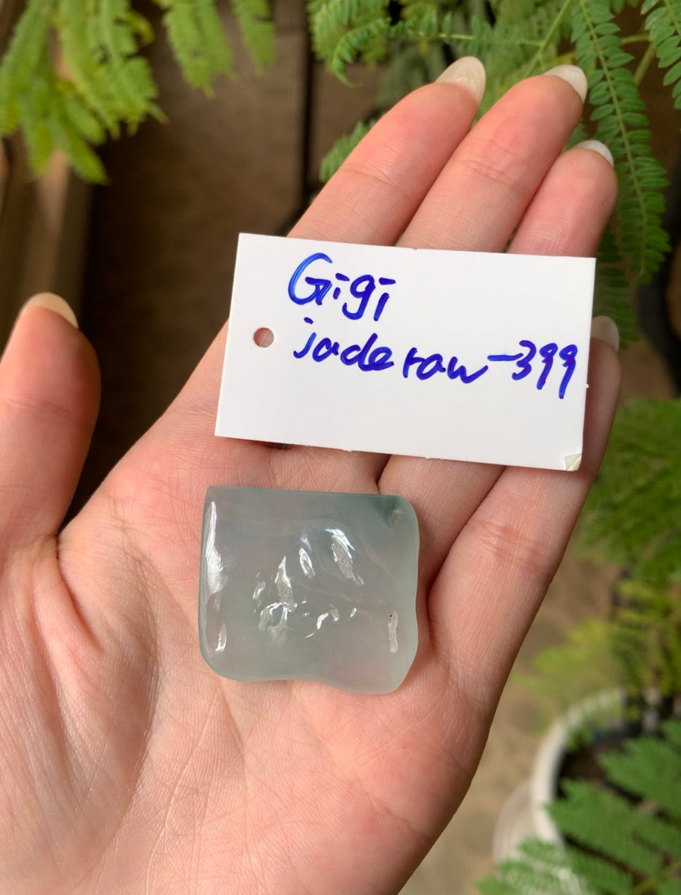 "Live" Natural Icy Green Jadeite Jade Raw (03/25/26)