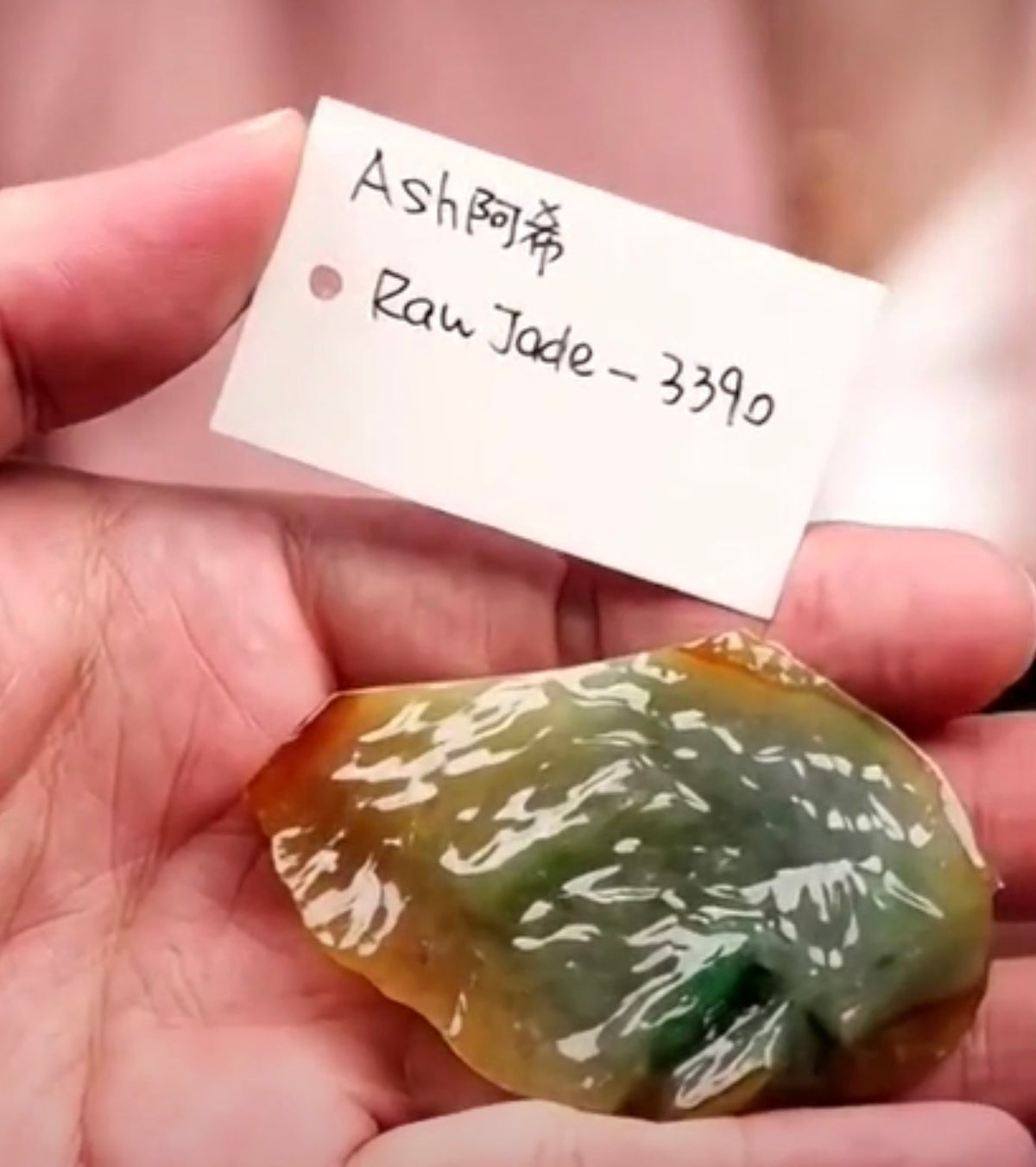 "Live" Natural Icy Green &amp; Yellow-Red Raw Jadeite Jade (09/19/26)
