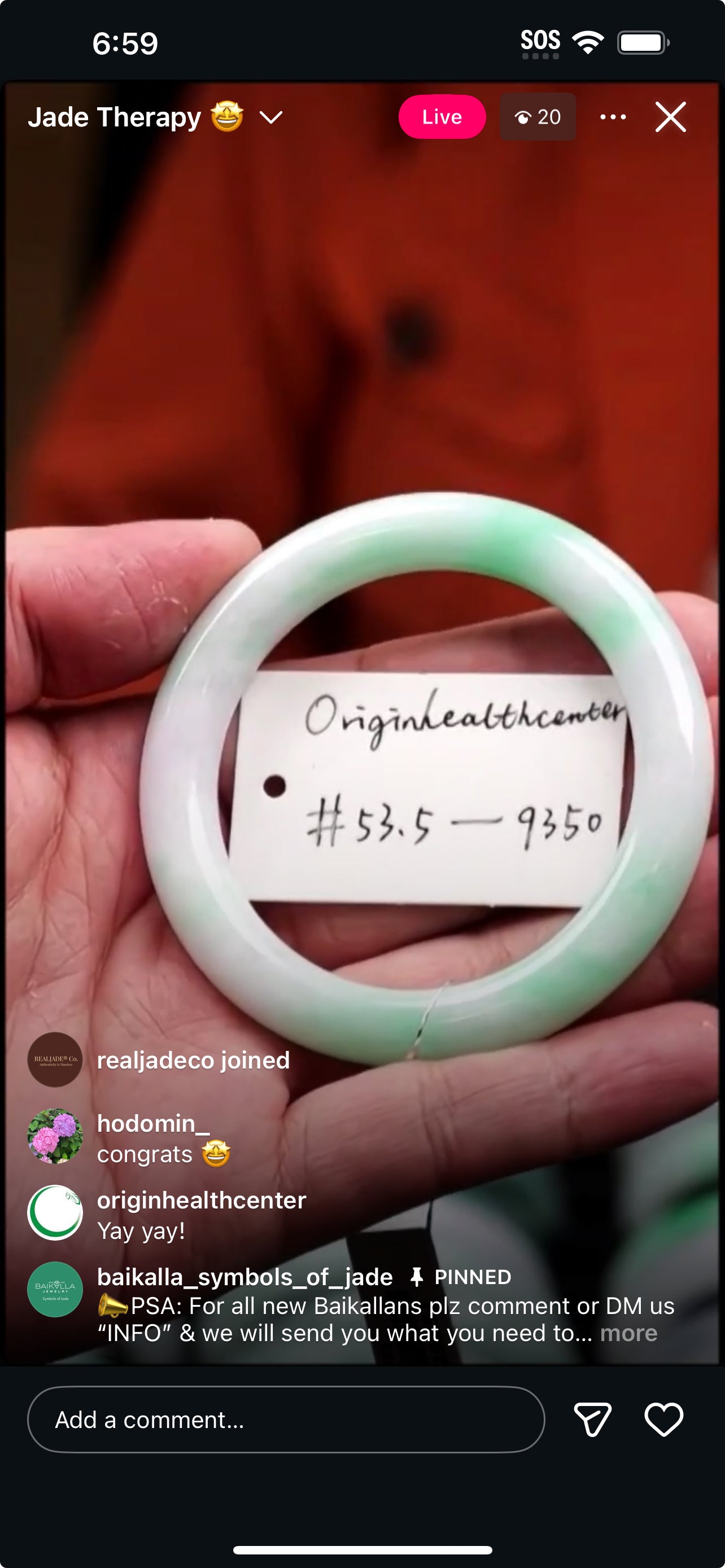 &quot;Live&quot; Moss In Snow Natural Jadeite Jade Traditional Round Bangle (12/06/2025)