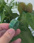 Baikalla Icy Vibrant Green Burmese Jadeite Jade Traditional Ring 
