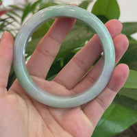 Baikalla™ "Classic Bangle" Genuine Burmese Green Lavender Jadeite Jade Bangle Bracelet (62.65mm) #T207