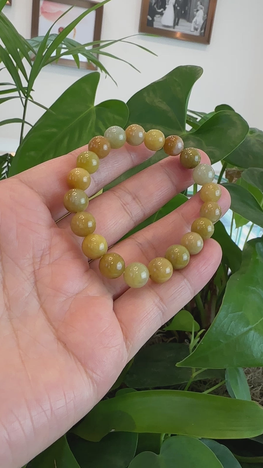 Baikalla Natural Yellow Burmese Jadeite Jade Round Beads Bracelet (9.5mm)