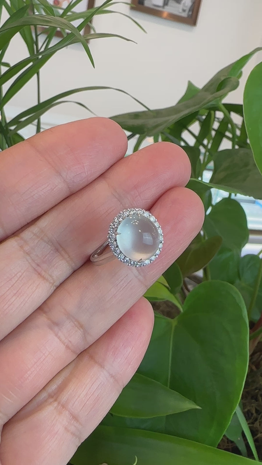 Baikalla 18k White Gold Natural Ice Jadeite Jade Engagement Ring With Diamonds