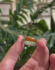Baikalla Oil-Green & Brown Burmese Jadeite Jade Traditional Ring 
