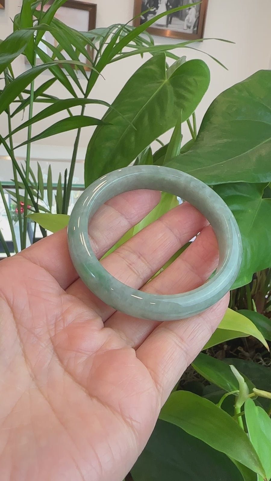 Genuine Burmese Green Jadeite Jade Bangle Bracelet (56.9 mm) #252