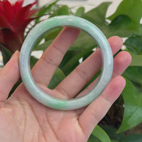 Baikalla Genuine White & Green Burmese Jadeite Jade Bangle Bracelet (62.53mm) #T219