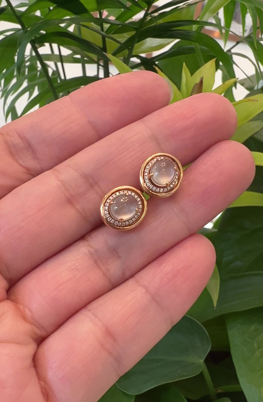 18K Rose Gold Ice Jadeite Jade Stud Earrings