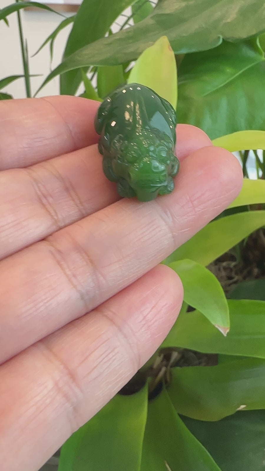 Baikalla™ Pi Xiu Genuine Green Nephrite Jade PiXiu Pendant Necklace (FengShui Lucky)