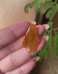 18K Yellow Gold Reddish Brown Jadeite Jade Fish Carving Pendant (Custom Gold Setting)