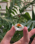 Baikalla White W/ "Sajin" (Golden Dust) Flower Burmese Jadeite Jade Traditional Ring 