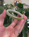 Baikalla Natural Light Green & Yellow "Traditional Round" Jadeite Jade Bangle Bracelet (51.5mm) 