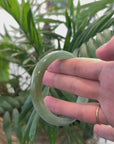 Baikalla Oil Green with Hazel Jadeite Jade Bangle Bracelet (58.4mm) 