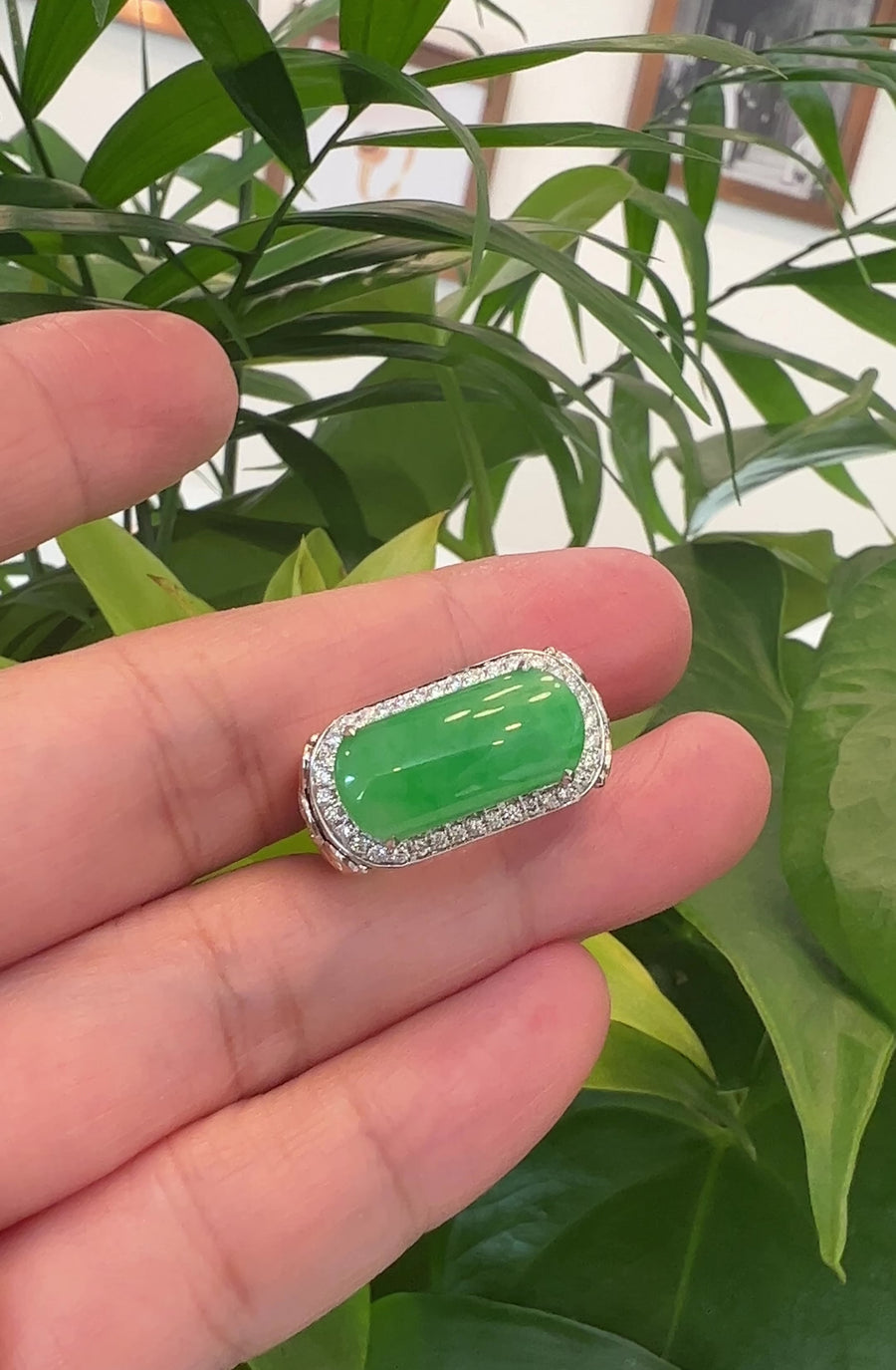 Baikalla 18k White 2 Tone Gold Natural Imperial Green Jadeite Jade Men's Ring