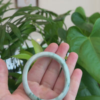 Natural Burmese Blue-green Jadeite Jade Oval Bangle Bracelet (54.40mm)#T054