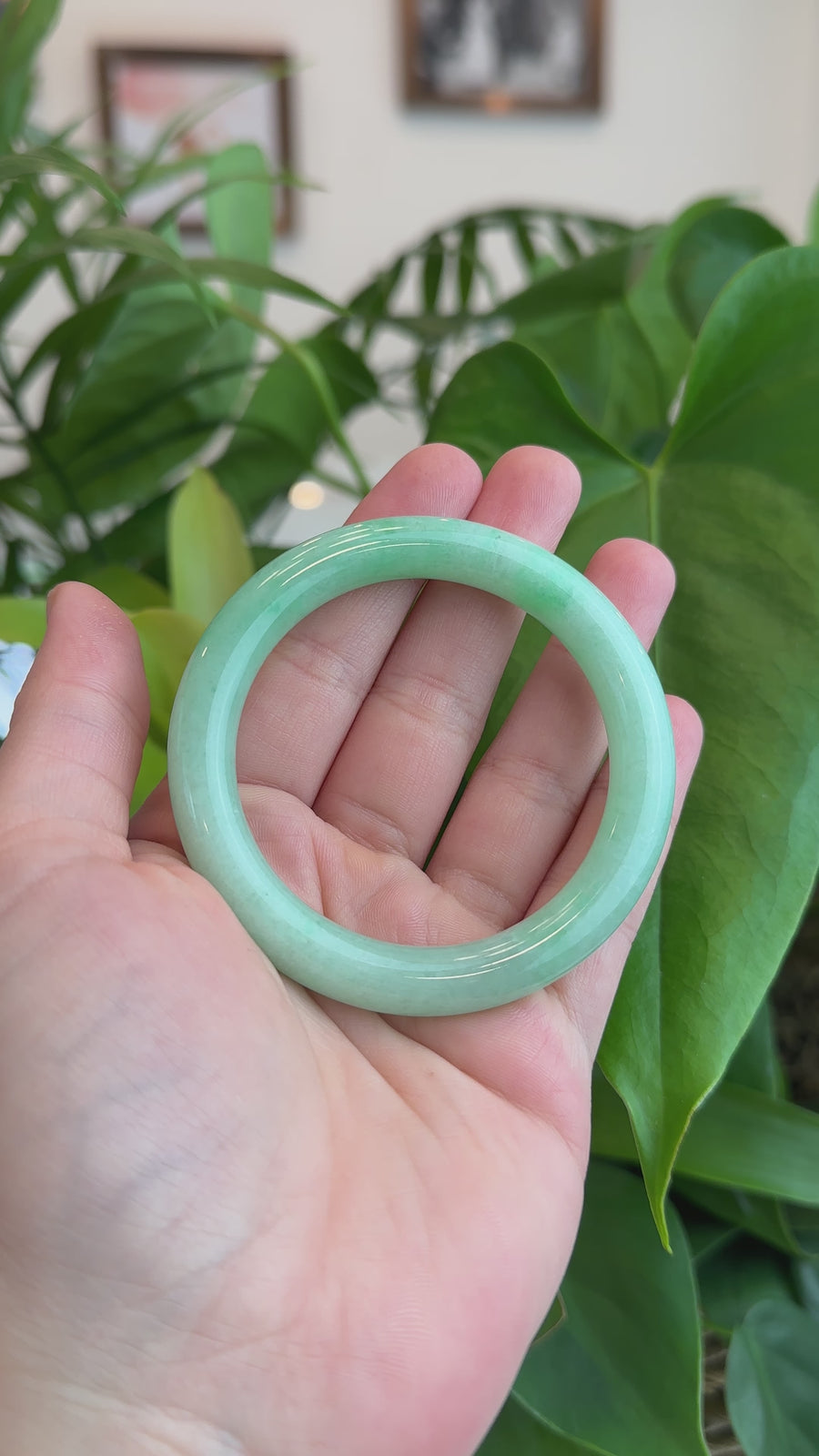 Natural Burmese Apple Green Jadeite Jade Bangle Bracelet (52.59mm) #T048