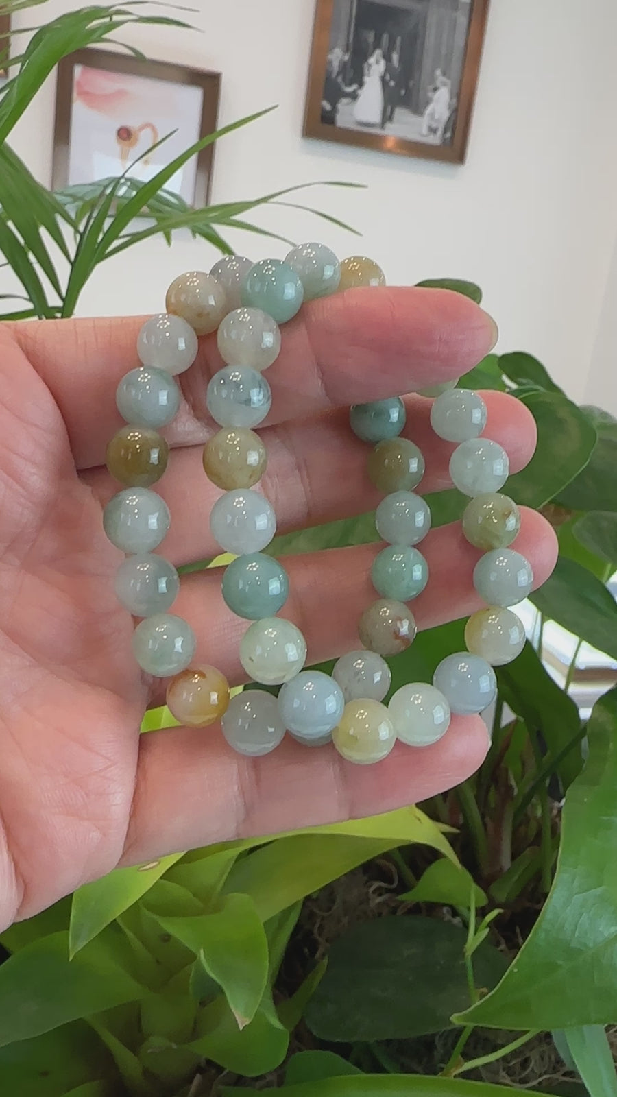 Genuine Ice Jadeite Jade Round Multiple Colors Beads Bracelet ( 9.5 mm)