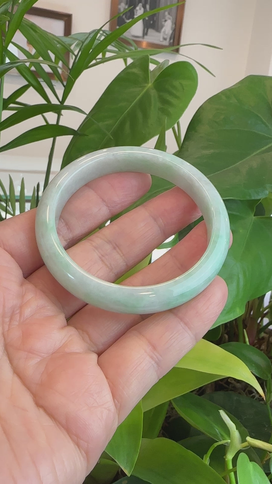 Baikalla "Classic Bangle" Green Lavender Natural Jadeite Jade Bangle ( 55.84 mm ) #597