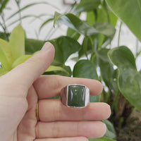 Baikalla Stainless Steel Cabochon Green Nephrite Jade Men's Signet Ring