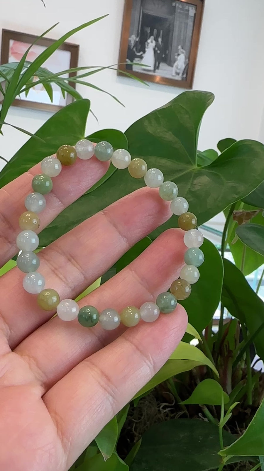 Genuine Ice Jadeite Jade Round Multiple Colors Beads Bracelet ( 7 mm)