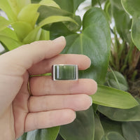 Baikalla Stainless Steel Green Nephrite Jade Men's Signet Ring