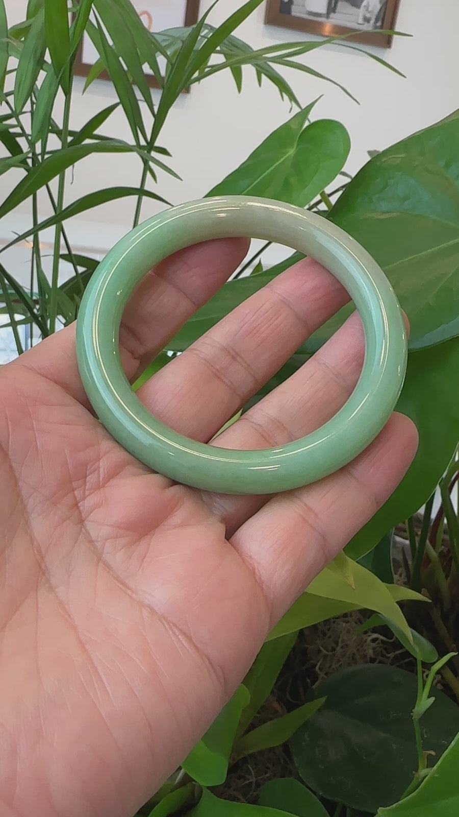 "Classic Princess Round" Burmese Yellow Green Jadeite Jade Bangle (57.41 mm) #T112