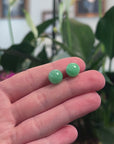 Baikalla Natural Vibrant Apple-Green Jadeite Jade 18ky Gold Stud Earrings