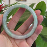 Baikalla "Classic Bangle" Genuine Burmese Green Jadeite Jade Bangle Bracelet (62.65 mm) #T209