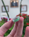 Baikalla Natural Icy Apple-Green & Light Grey Wuji Jadeite Jade Traditional Ring 
