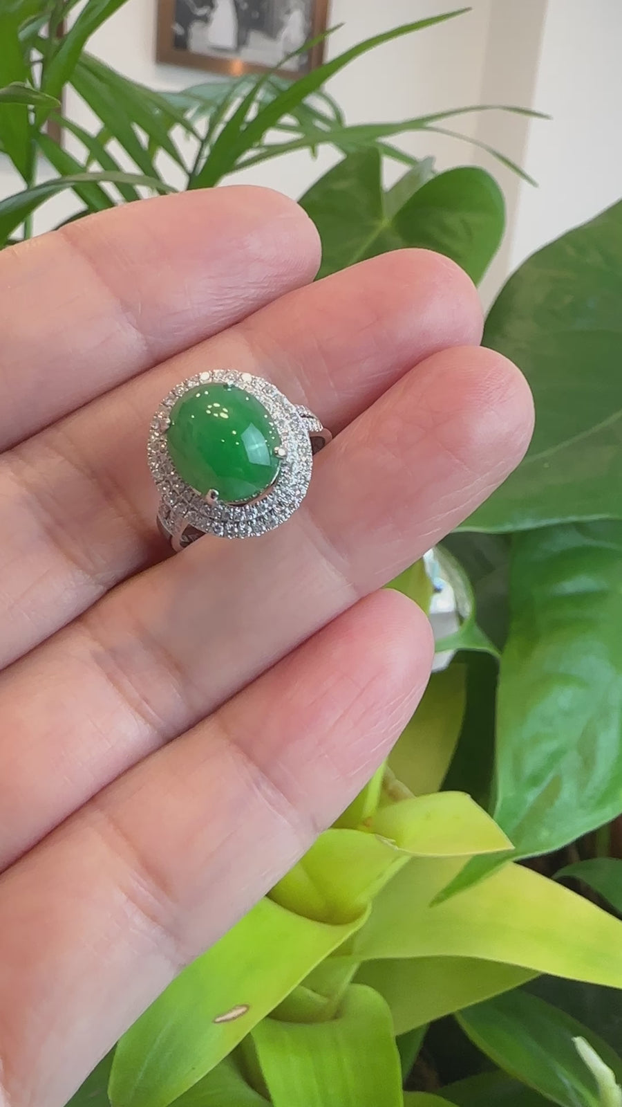 18k White Gold Imperial Green Jadeite Jade Ring With Diamonds