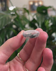 Baikalla Natural Icy Black Wuji Jadeite Jade Traditional Ring 