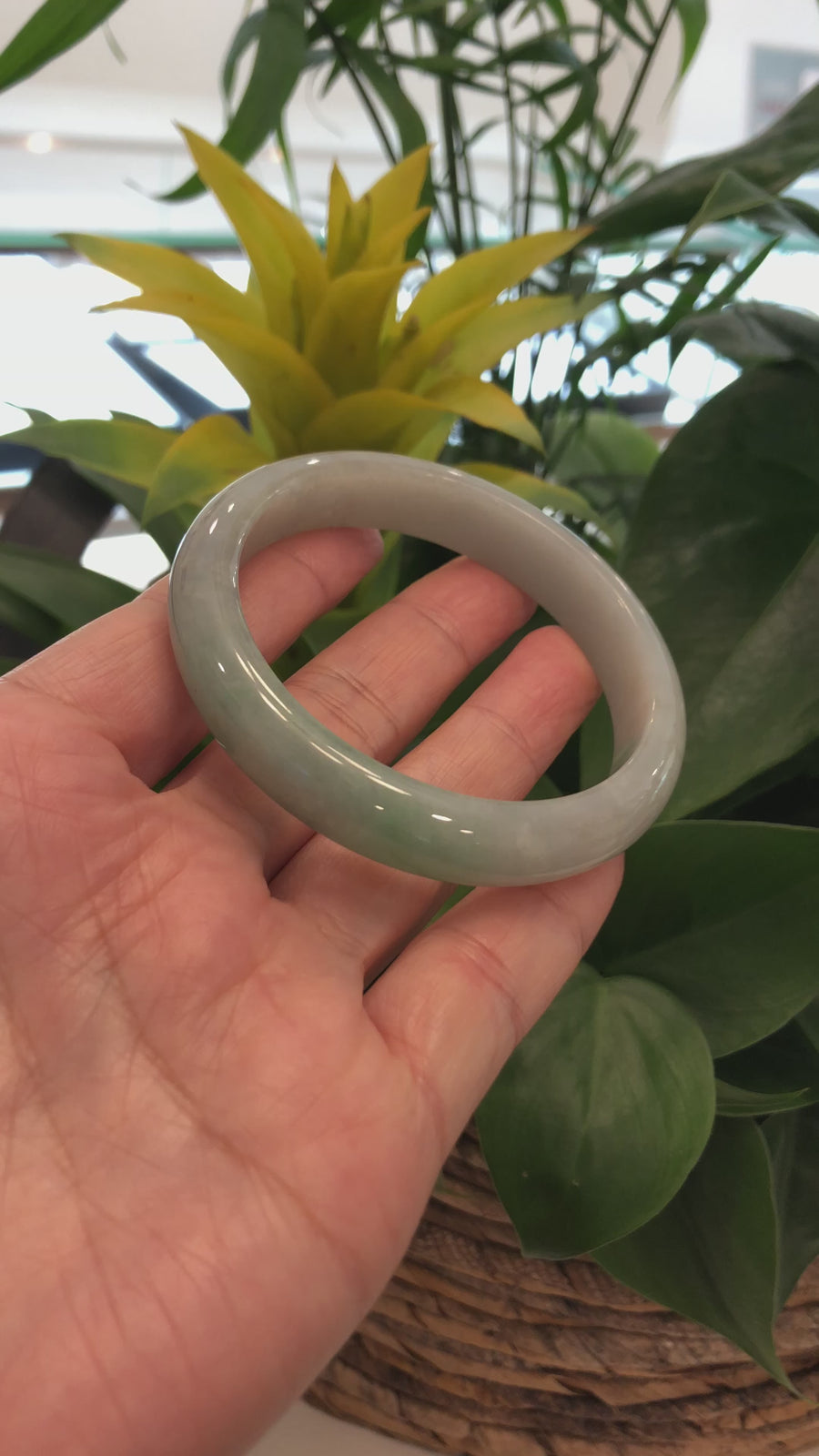Genuine Burmese Green Jadeite Jade Bangle Bracelet (60.51 mm) #551